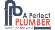 A Perfect Plumber
