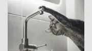 S & J Plumbing