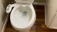 Toilet Repair